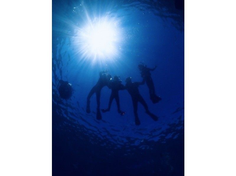 [Okinawa Undersea Road] Completely private! Snorkeling tour off the coast of a deserted island ☆ (Free for children under 5)の紹介画像