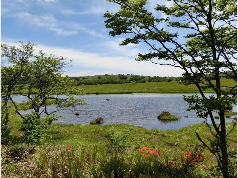 【長野・霧ヶ峰】ガイドと歩く八島湿原 プライベート2時間～ご希望の日時でご案内♪おひとり様・ファミリー大歓迎！の紹介画像