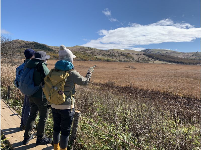 【長野・霧ヶ峰】冬の八島湿原２時間 プライベートガイド～ご希望の日時で おひとり様・ファミリー大歓迎♪の紹介画像