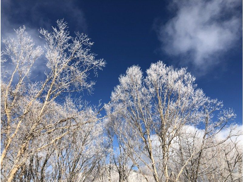 【長野・霧ヶ峰】冬の八島湿原 プライベートガイド2時間～ご希望の日時で おひとり様・ファミリー大歓迎♪の紹介画像