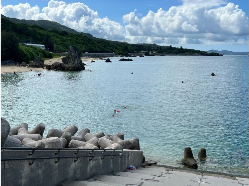 【沖縄本島北部・ゴリラチョップ】空港・ホテル送迎付きのビーチダイビングで一日満喫！の紹介画像