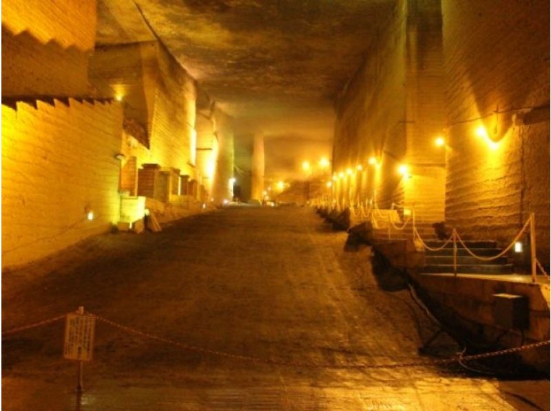 まるで巨大地下神殿『首都圏外郭放水路』＆神秘的な大谷資料館見学バスツアー（蒲田駅発着）【029029-1408】の紹介画像