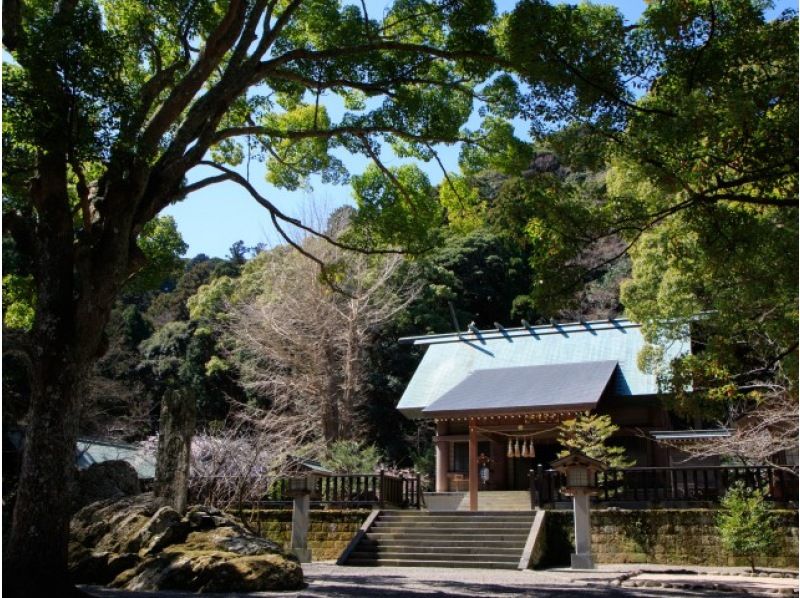 【東京発・南房総市】高家神社・特殊神事「包丁式」と安房國一之宮2社めぐりバスツアー　～舟盛りランチ付き～【029029-1413】の紹介画像