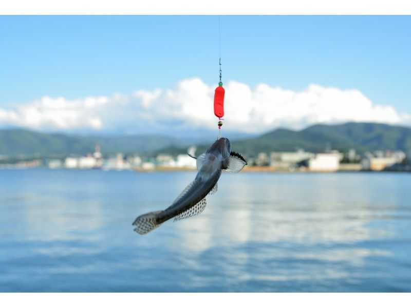 [Near Sapporo, Ishikari Bay New Port] Same-day reservations accepted! Enjoy sea fishing at your leisure somewhere in Ishikari Bay, guided by your guide.の紹介画像