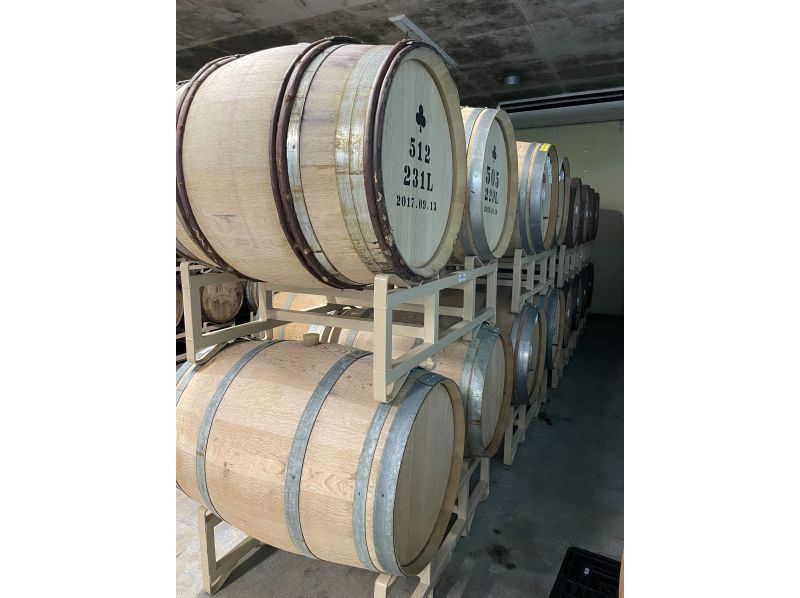 【山梨・小菅村】受賞歴多数で人気の高い小菅生まれのクラフトビール『FarYeastBrewing』の醸造所見学ツアー！ビールとTシャツ付き！の紹介画像