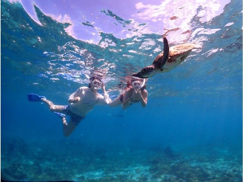 【沖縄・宮古島】宮古ブルーでシュノーケリング。ウミガメやクマノミにも会える！！元水泳部が担当する安心ツアー。写真データ無料。当日予約OKの紹介画像