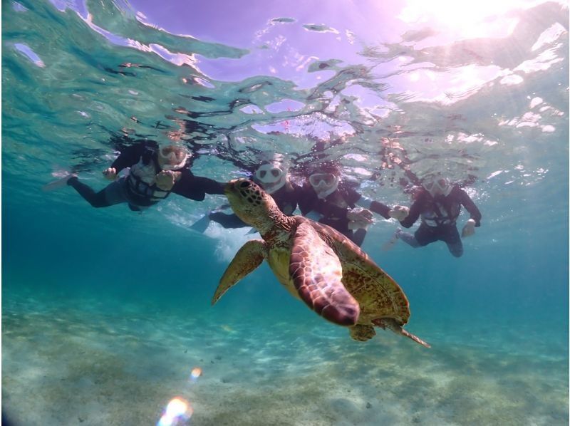 【沖縄・宮古島】宮古ブルーでシュノーケリング。ウミガメやクマノミにも会える！！元水泳部が担当する安心ツアー。写真データ無料。当日予約OKの紹介画像