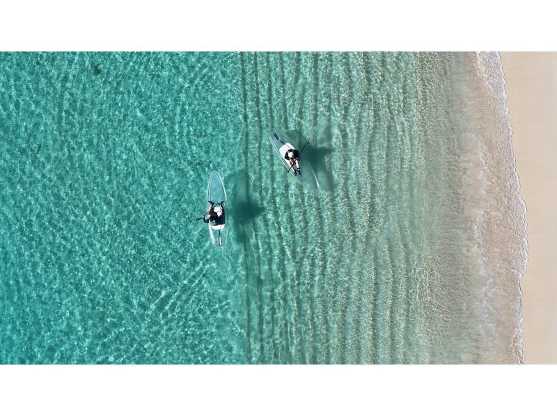 沖縄・宮古島　SUP＆ウミガメシュノーケル半日ツアー！ウミガメやクマノミに会える！クリアサップも変更可。写真データ無料。当日予約OKの紹介画像