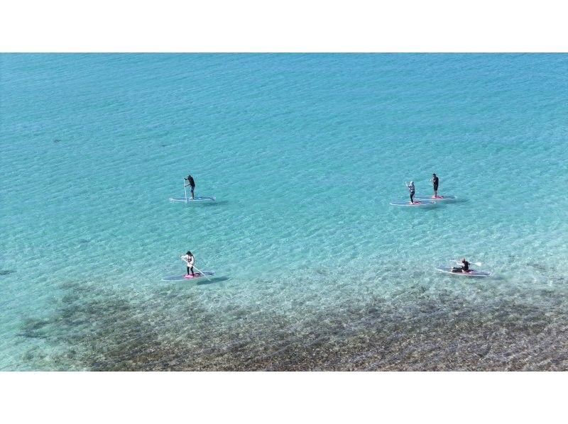 沖縄・宮古島　SUP＆ウミガメシュノーケル半日ツアー！ウミガメやクマノミに会える！クリアサップも変更可。写真データ無料。当日予約OKの紹介画像