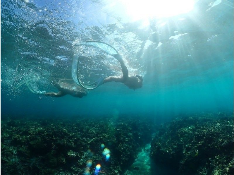 沖縄・宮古島　SUP＆ウミガメシュノーケル半日ツアー！ウミガメやクマノミに会える！クリアサップも変更可。写真データ無料。当日予約OKの紹介画像
