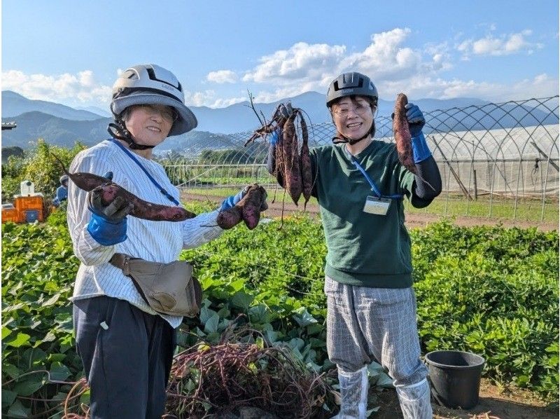【長野・東筑摩郡】☆2025シャインマスカット☆よくばりグルメのサイクリングツアー（カフェ編）の紹介画像