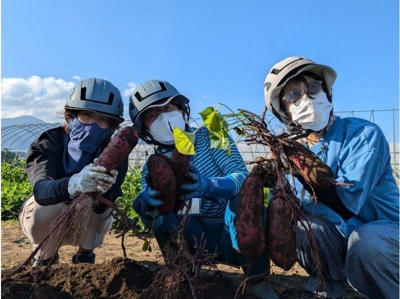 【長野・東筑摩郡】★2025シャインマスカット★よくばりグルメのサイクリングツアー（ランチ編）の紹介画像