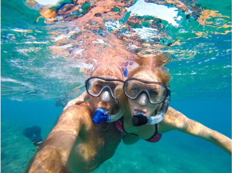 【神奈川・三浦半島】『本格的スノーケリングプログラム！午後の部』神奈川・三浦半島　水中世界を覗いてみよう！の紹介画像