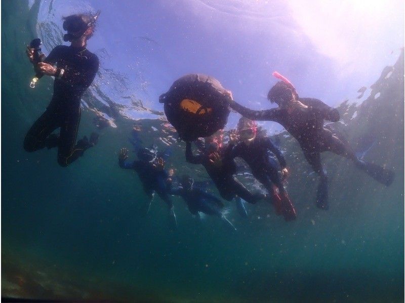 【神奈川・三浦半島】『本格的スノーケリングプログラム！午後の部』神奈川・三浦半島　水中世界を覗いてみよう！の紹介画像