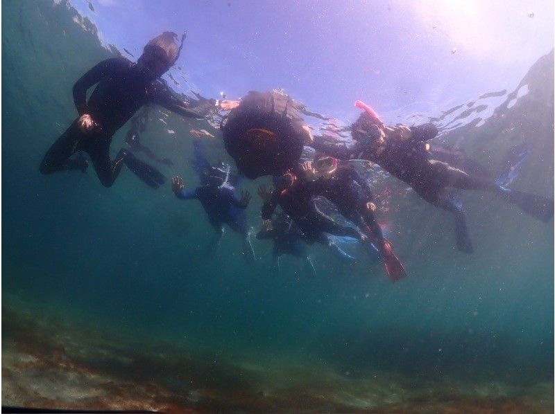 【神奈川・三浦半島】『本格的スノーケリングプログラム！午後の部』神奈川・三浦半島　水中世界を覗いてみよう！の紹介画像