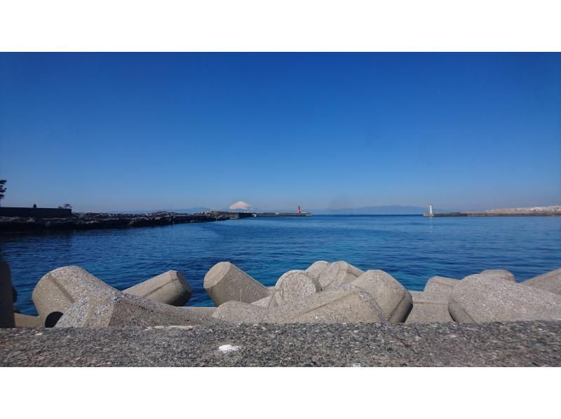 【神奈川・三浦半島】『本格的スノーケリングプログラム！午後の部』神奈川・三浦半島　水中世界を覗いてみよう！の紹介画像