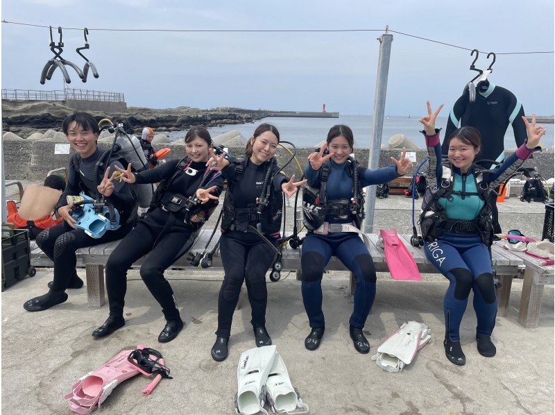 【神奈川・三浦半島ドライスーツ無料！】『体験ダイビングプログラム！午後の部』神奈川・三浦半島　水中のお魚とお友達になろう！の紹介画像