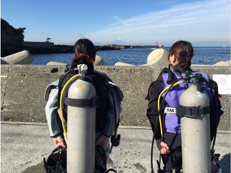 【神奈川・三浦半島ドライスーツ無料！】『体験ダイビングプログラム！午後の部』神奈川・三浦半島　水中のお魚とお友達になろう！の紹介画像