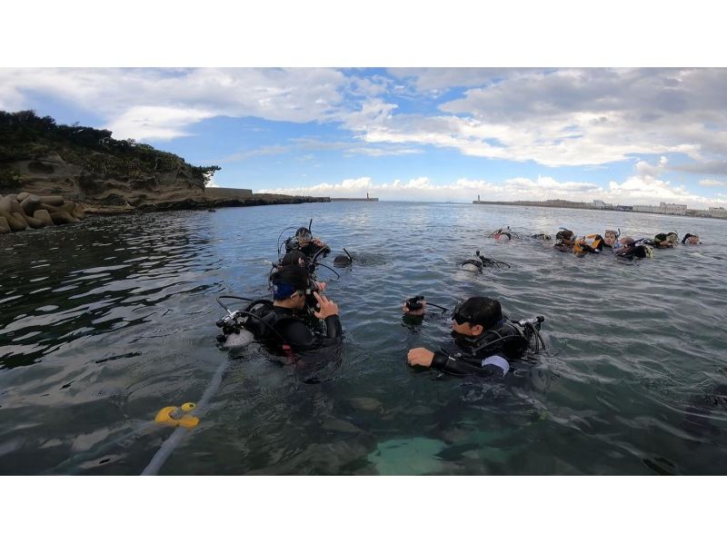 【神奈川・三浦半島ドライスーツ無料！】『体験ダイビングプログラム！午後の部』神奈川・三浦半島　水中のお魚とお友達になろう！の紹介画像