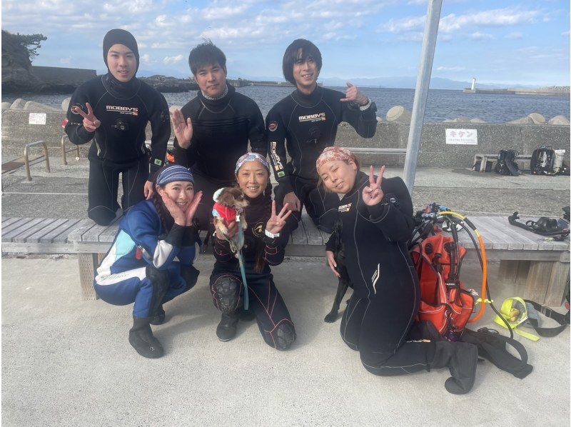 【神奈川・三浦半島ドライスーツ無料！】『体験ダイビングプログラム！午後の部』神奈川・三浦半島　水中のお魚とお友達になろう！の紹介画像