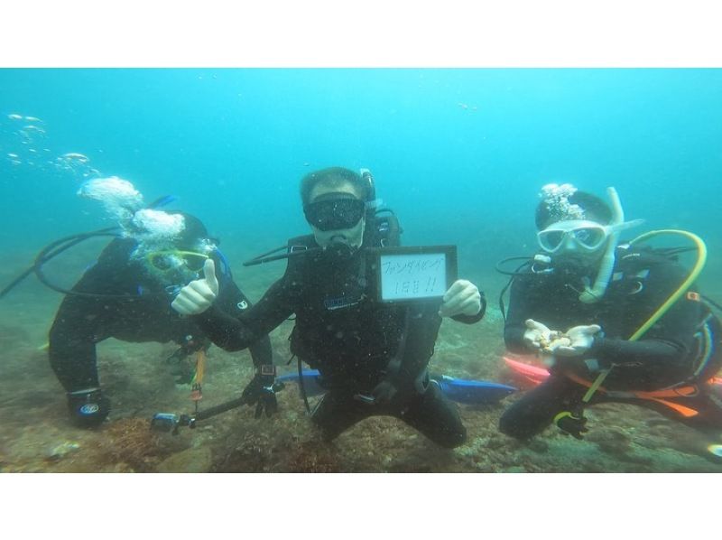 【神奈川・三浦半島ドライスーツ無料！】『体験ダイビングプログラム！午後の部』神奈川・三浦半島　水中のお魚とお友達になろう！の紹介画像