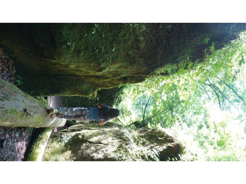 【北海道・支笏湖】映画のような世界観。苔の回廊へハイキングに出かけよう。の紹介画像