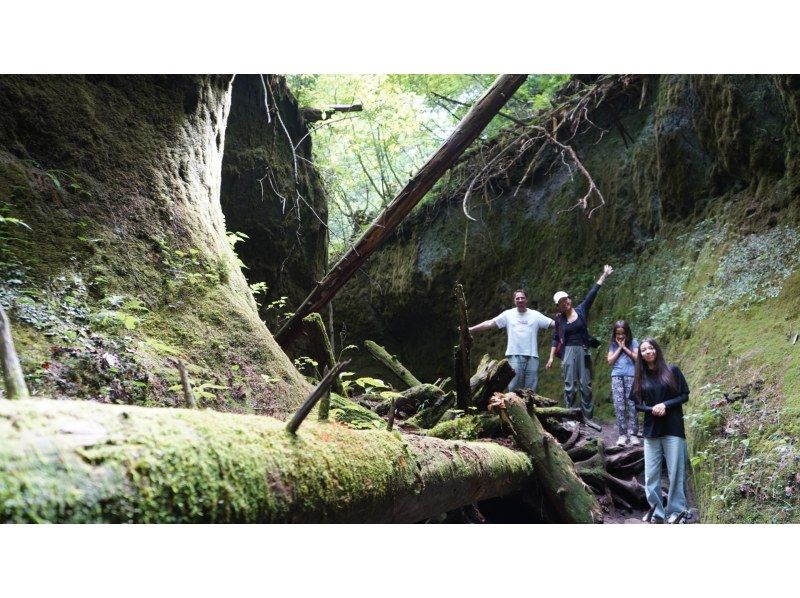 【北海道・支笏湖】映画のような世界観。苔の回廊へハイキングに出かけよう。の紹介画像
