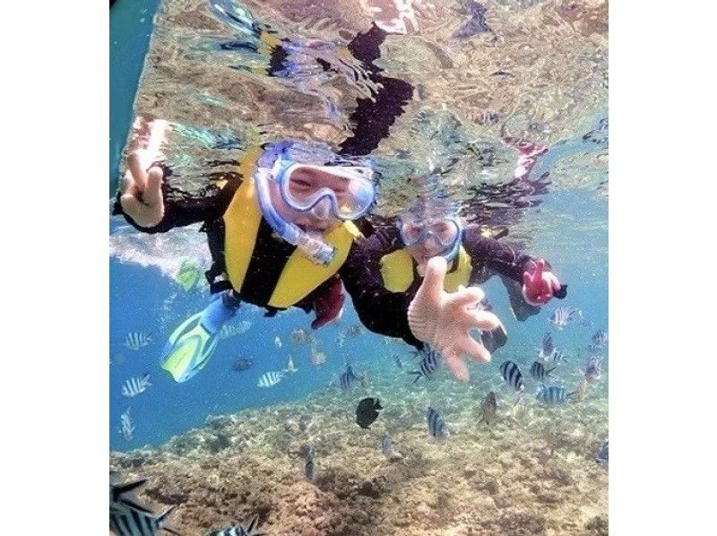 年齢制限なし♪貸切プラン【写真動画撮影・餌付け体験・タオル付】シュノーケリング【ジャングリア、美ら海近く】北部.名護.本部.瀬底島の紹介画像