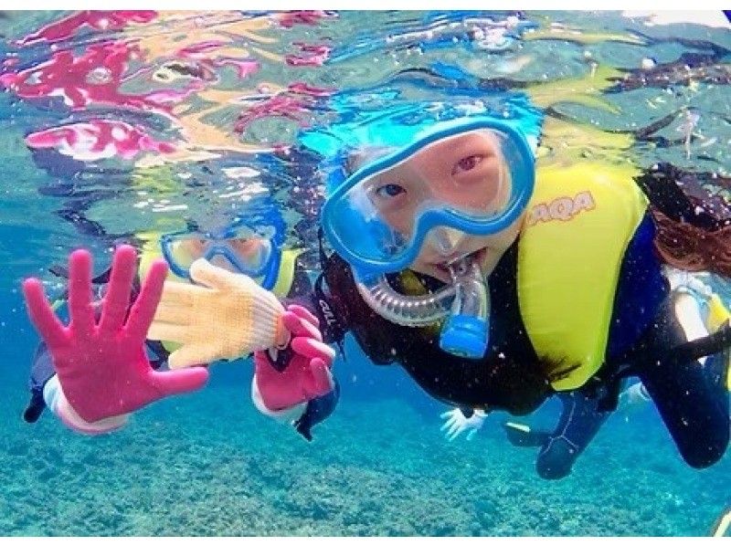 年齢制限なし♪貸切プラン【写真動画撮影・餌付け体験・タオル付】シュノーケリング【ジャングリア、美ら海近く】北部.名護.本部.瀬底島の紹介画像