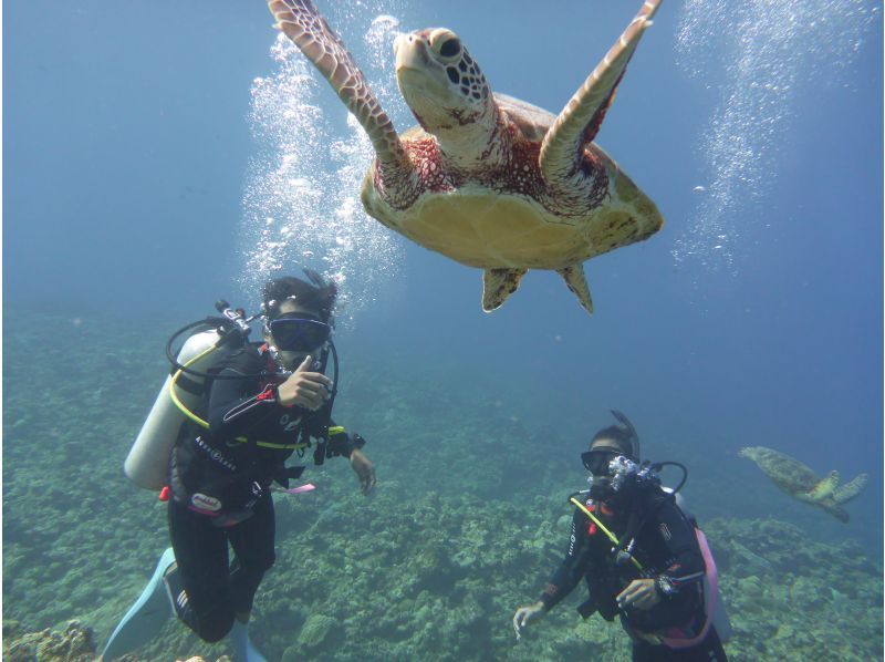 [Okinawa, Kouri] Have the Kouri Blue all to yourself on a private boat! ★2-hour course) Kouri Island Premium Snorkeling & Divingの紹介画像