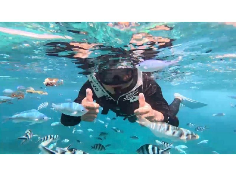 1日遊べて超お得☆☆BBQ付きマリンアクティビティまるっとスペシャルプラン♪の紹介画像