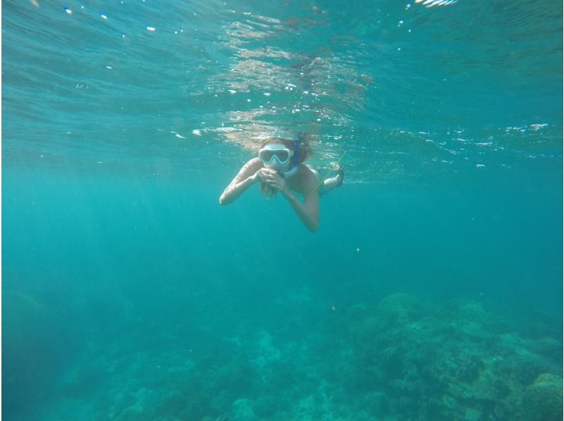 [Okinawa main island] Snorkelingの紹介画像