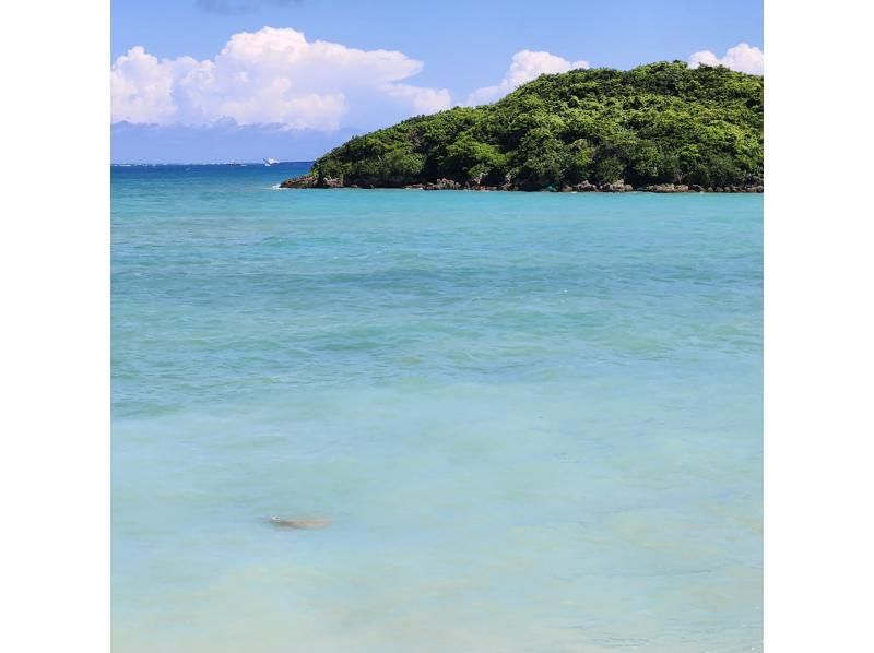 [Okinawa main island] Snorkelingの紹介画像