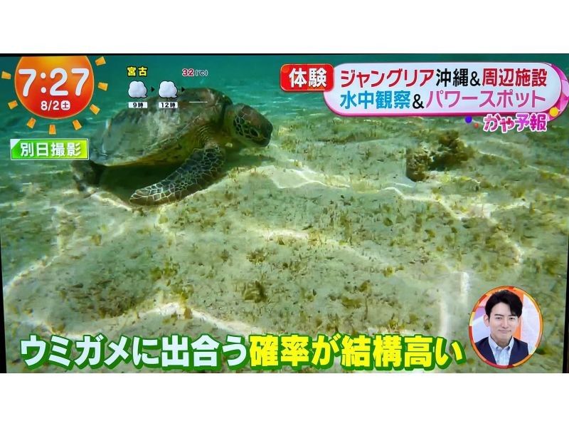 【沖縄・今帰仁】★☆めざまし土曜日が大絶賛した絶景シークレットビーチでクリアカヤックウミガメ探検ツアー！！（90分）ジャングリア沖縄近く☆★の紹介画像