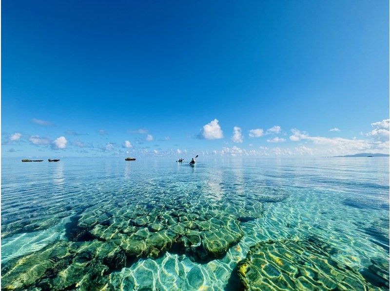 【沖縄・石垣島】カヤックに乗って川平湾のシークレットスポット・サンゴ礁＆熱帯魚の楽園・川平タバガーへ行こう！の紹介画像
