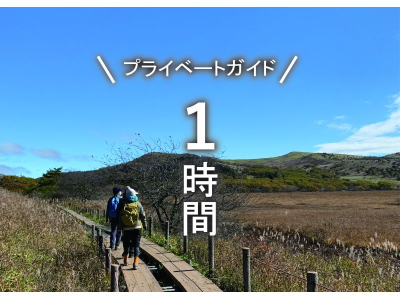 【長野・霧ヶ峰】ガイドと歩く八島湿原 プライベート1時間～ご希望の日時でご案内♪おひとり様・ファミリー大歓迎！の紹介画像
