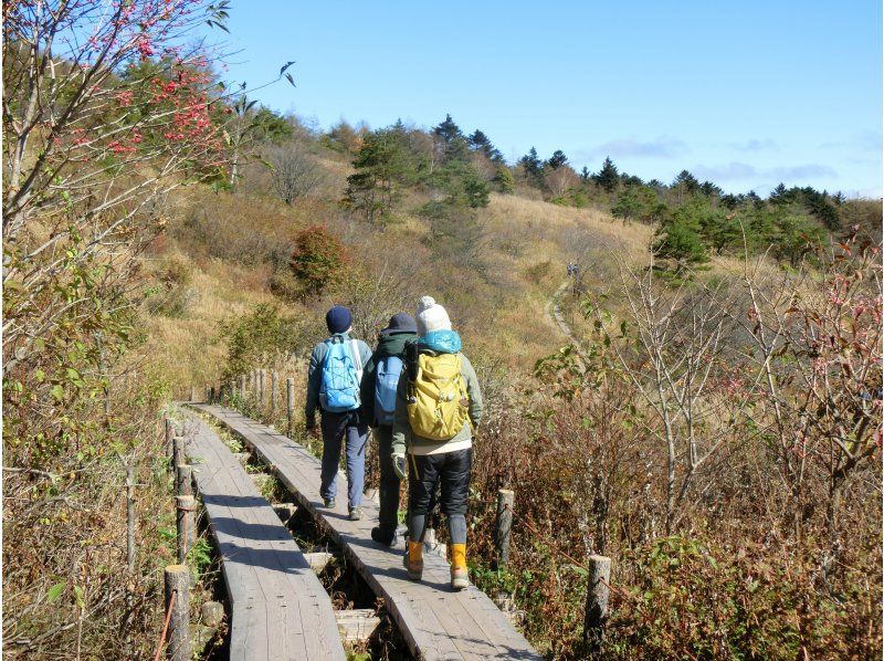 【長野・霧ヶ峰】ガイドと歩く八島湿原 プライベート1時間～ご希望の日時でご案内♪おひとり様・ファミリー大歓迎！の紹介画像