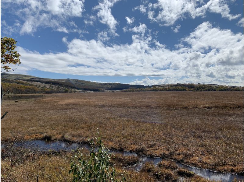 【長野・霧ヶ峰】ガイドと歩く八島湿原 プライベート1時間～ご希望の日時でご案内♪おひとり様・ファミリー大歓迎！の紹介画像