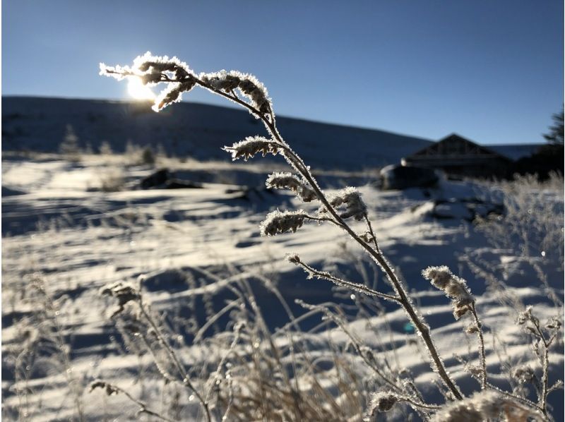 【長野・霧ヶ峰】ガイドと歩く八島湿原 プライベート1時間～ご希望の日時でご案内♪おひとり様・ファミリー大歓迎！の紹介画像