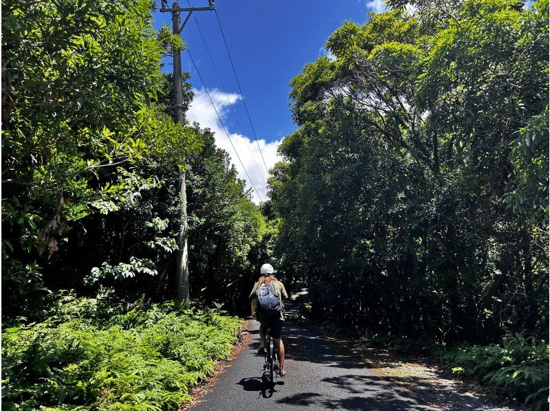 Cycling around Yakushima on an electric bicycleの紹介画像