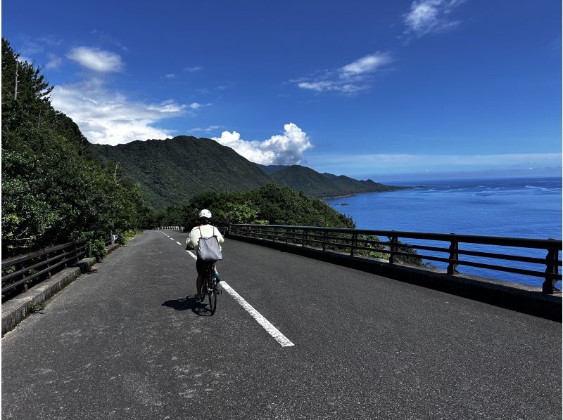 Cycling around Yakushima on an electric bicycleの紹介画像