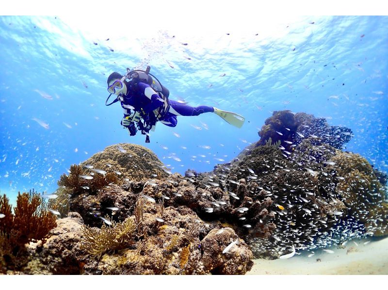 [Okinawa ・ Miyakojima Recommended for beginners! Experience to use time effectively Diving half-day Course (Beach 1 dive)の紹介画像