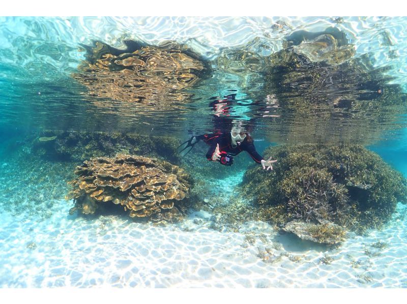 【沖縄・宮古島】ビーチで体験ダイビング＆シュノーケリング｜１組限定貸切ツアー｜半日コース｜GoProレンタル無料の紹介画像
