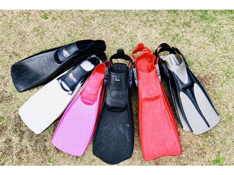 อุปกรณ์ที่จำเป็นสำหรับการดำน้ำ & วิธีเลือก Fins Flippers Miyakojima Summer Party (Summer