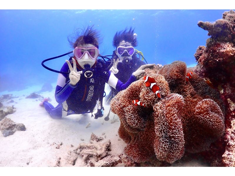 [Okinawa ・ Miyakojima Recommended for beginners! Experience to use time effectively Diving half-day Course (Beach 1 dive)の紹介画像