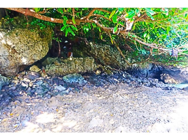 [Okinawa, Ojima] Only one group of guides available for private use ☆ Kayak experience cruising on a remote island accessible by car, with high-quality camera photos as a gift!の紹介画像
