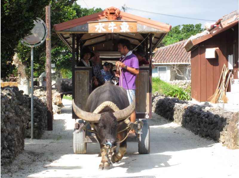 オーシャンズ石垣島の割引プラン