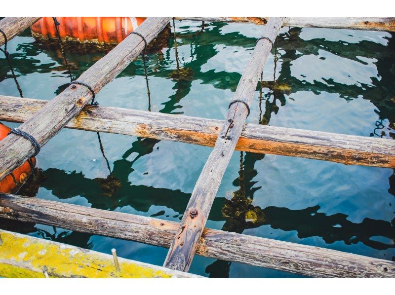 Official Sado Island Galaxy Art Festival Tour: English-guided sightseeing boat tour of Lake Kamo with views of nature, culture, and food from the lake    の紹介画像