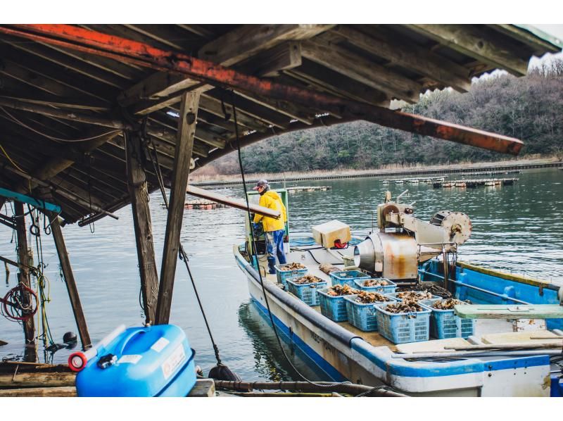 Official Sado Island Galaxy Art Festival Tour: English-guided sightseeing boat tour of Lake Kamo with views of nature, culture, and food from the lake    の紹介画像