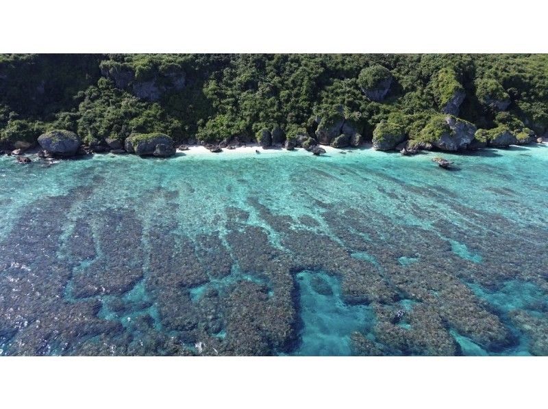 【絶対満足！体験内容盛り沢山！】ボートで出発！『熱帯魚珊瑚礁シュノーケル』『秘境洞窟探索』『サップ体験』贅沢シュノーケルツアー！の紹介画像